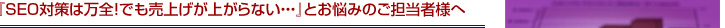 『SEO対策は万全！でも売上げが上がらない・・・』とお悩みのご担当者様へ